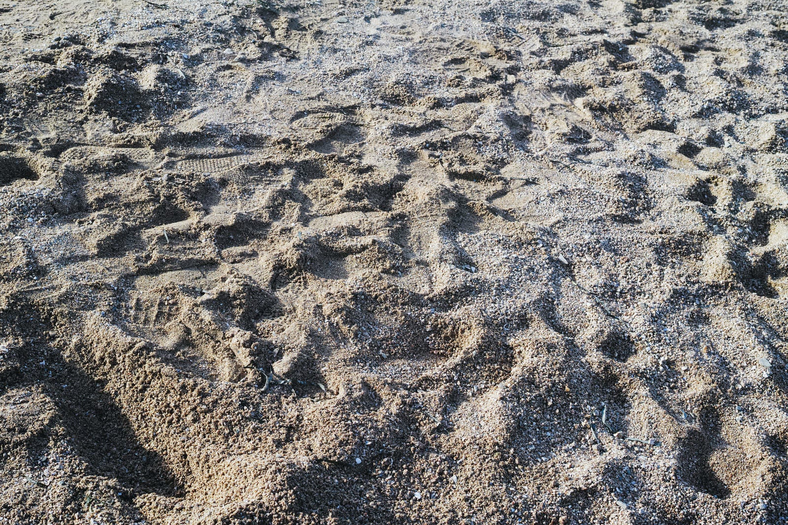 「足跡だらけでデコボコの地面」の写真