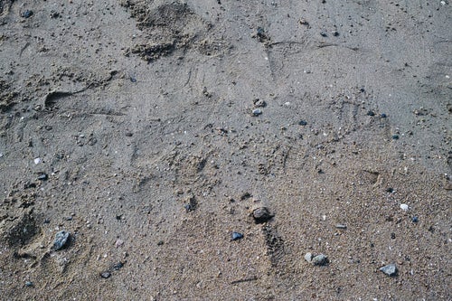 濡れた地面に残る足跡のテクスチャーの写真