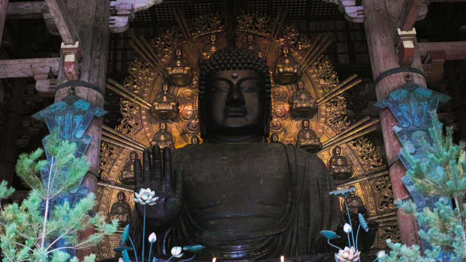 「奈良の大仏（盧舎那仏坐像）」の写真