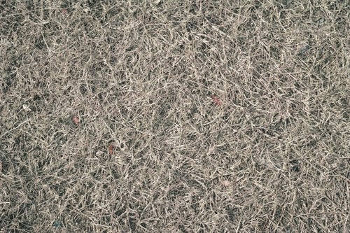 地面に敷き詰められた枯草（テクスチャー）の写真