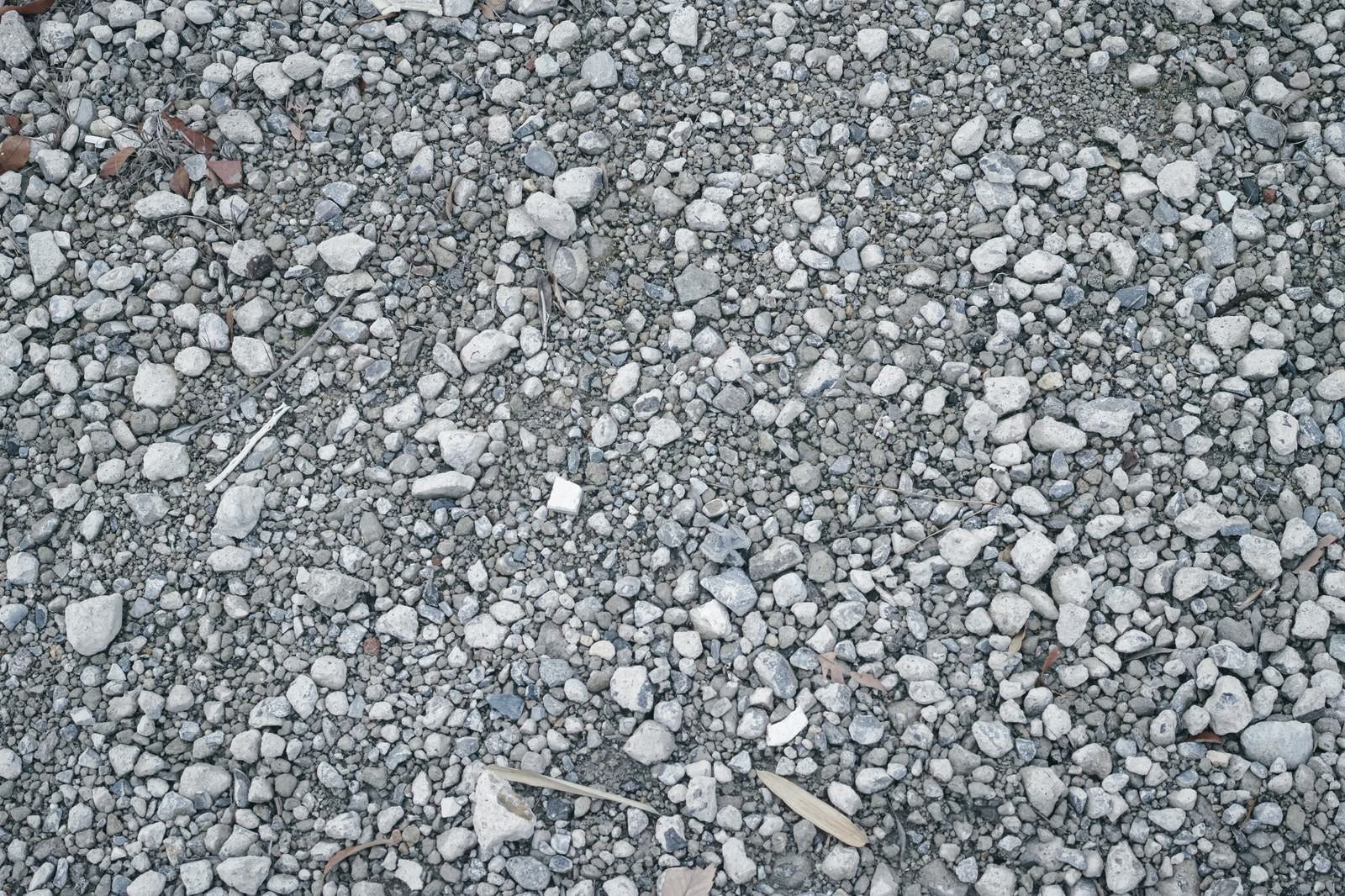 「不揃いな小石にわずかに混じる枯れ葉の残骸（テクスチャー）」の写真