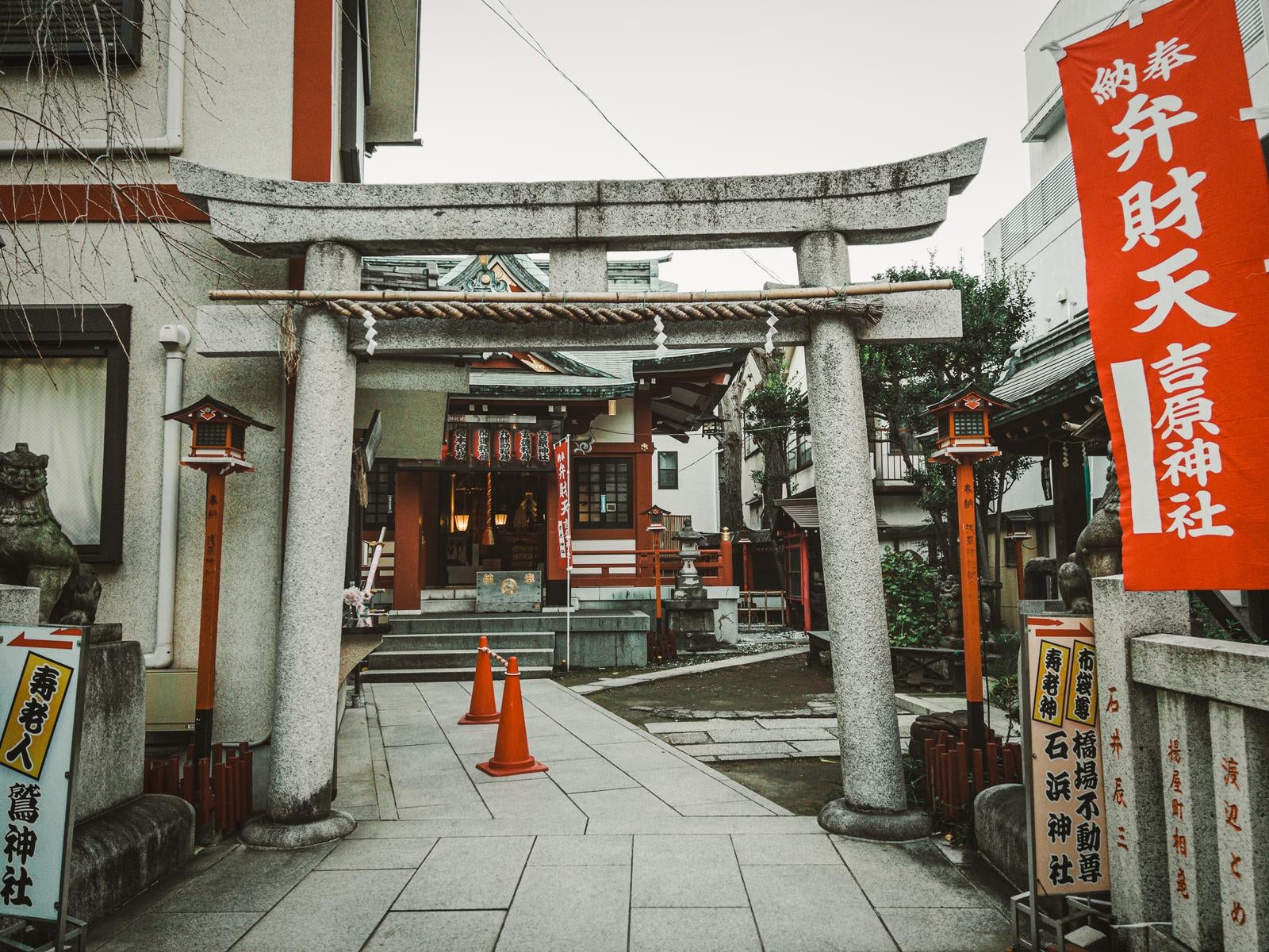 「吉原神社の鳥居」の写真