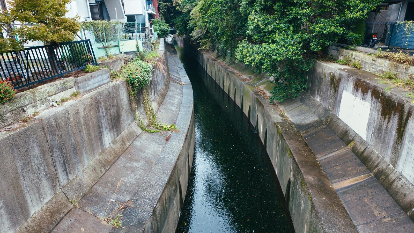 「住宅街を流れる渋谷川」の写真