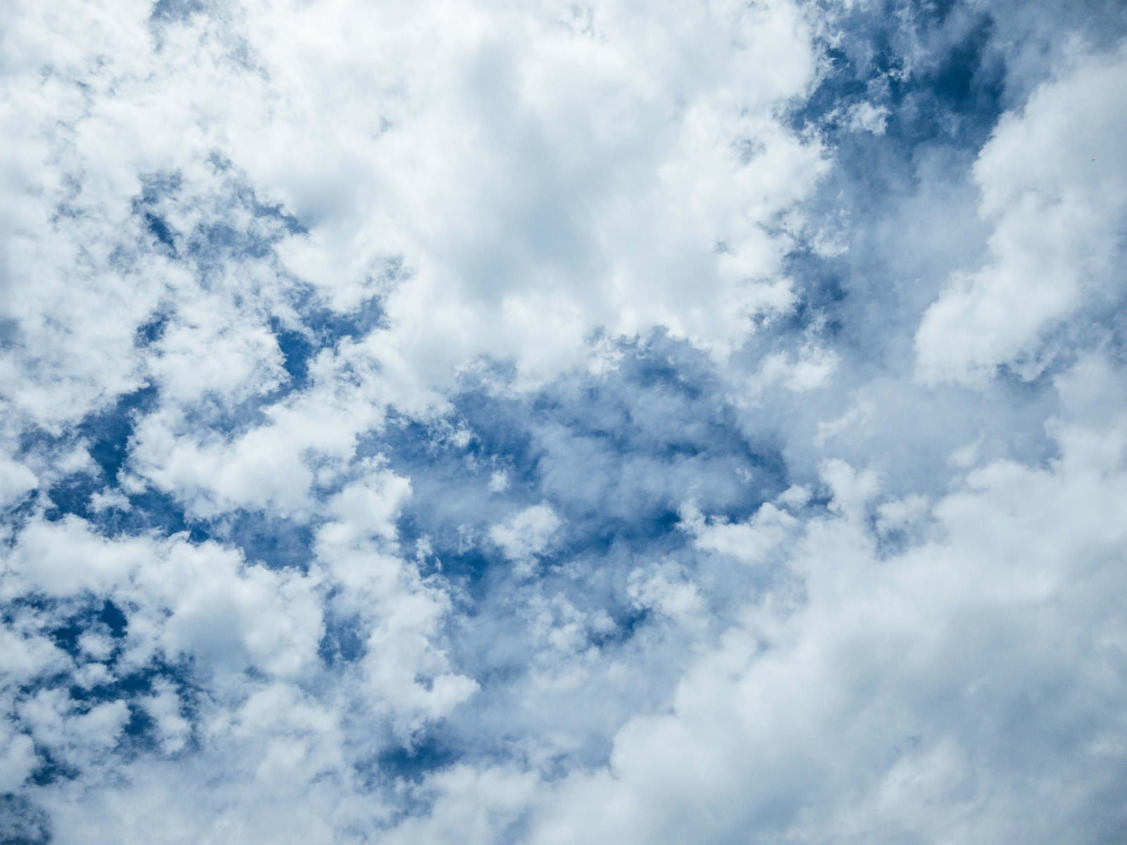 「青空を隠す雲」の写真