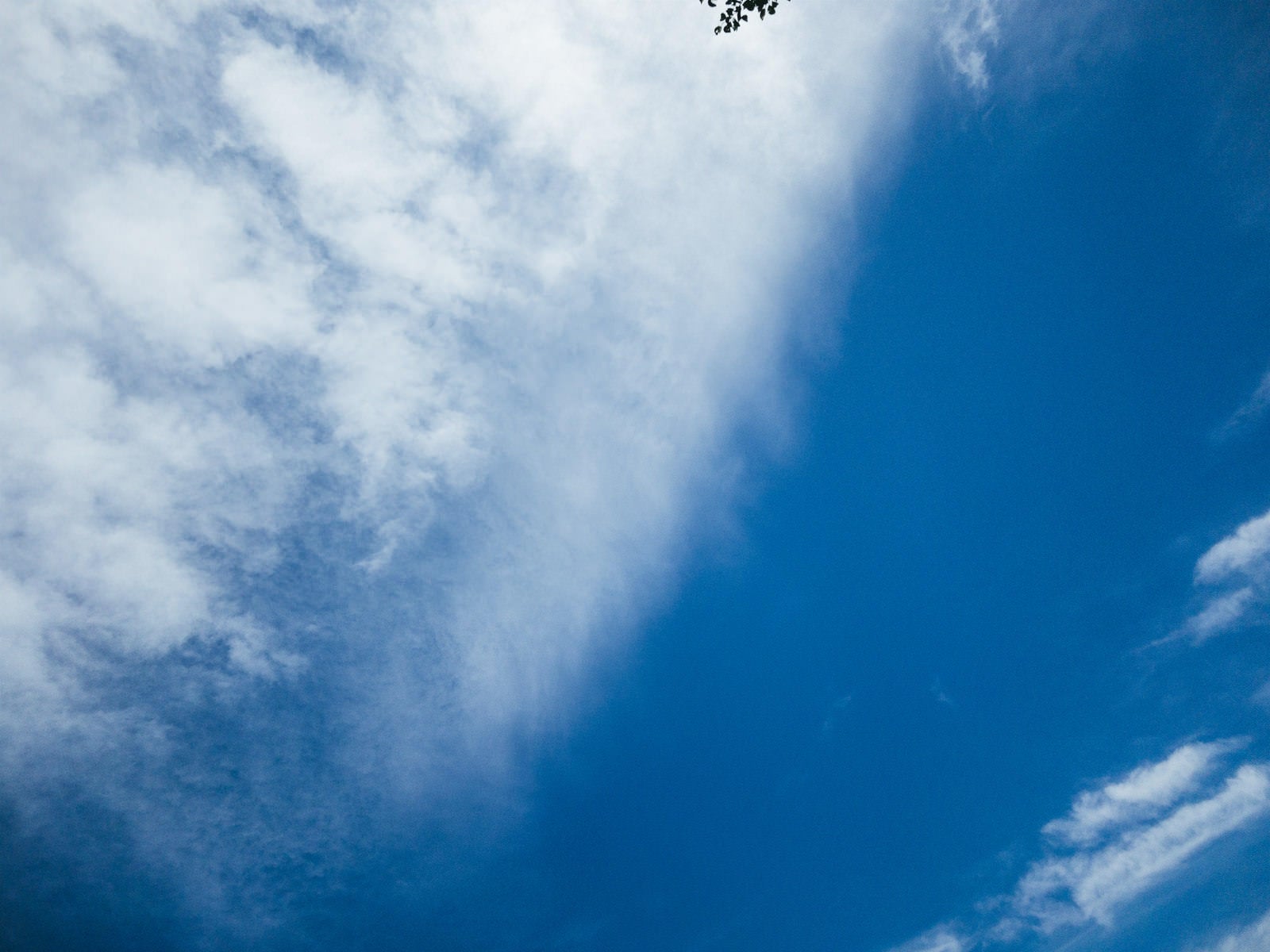 「空を流れる薄い雲」の写真