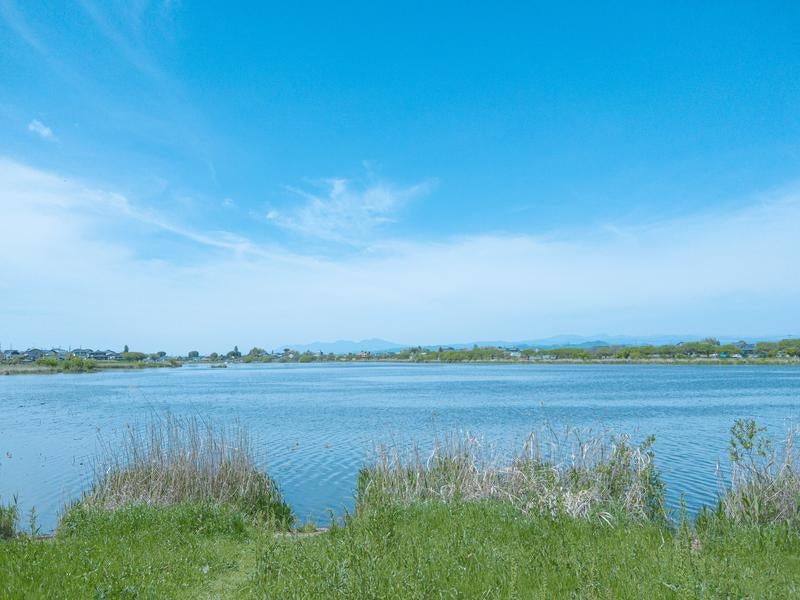 館林「守りの沼」城沼から一望する風景の写真