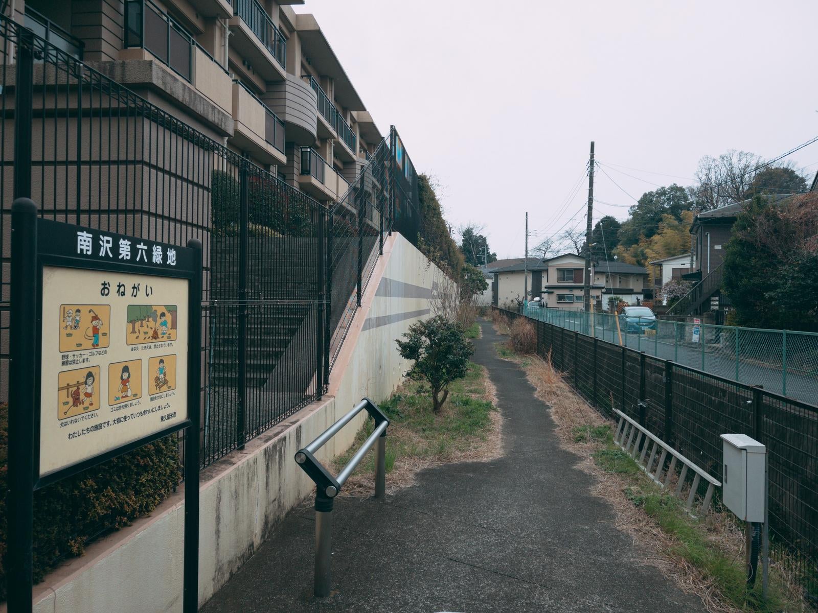 「南沢第六緑地」の写真