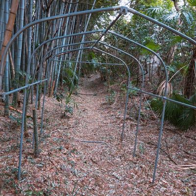 南沢緑地保全地域の奥深くの写真