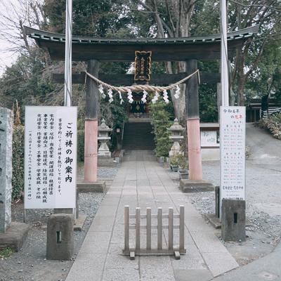 水源の守り神 南沢氷川神社の写真