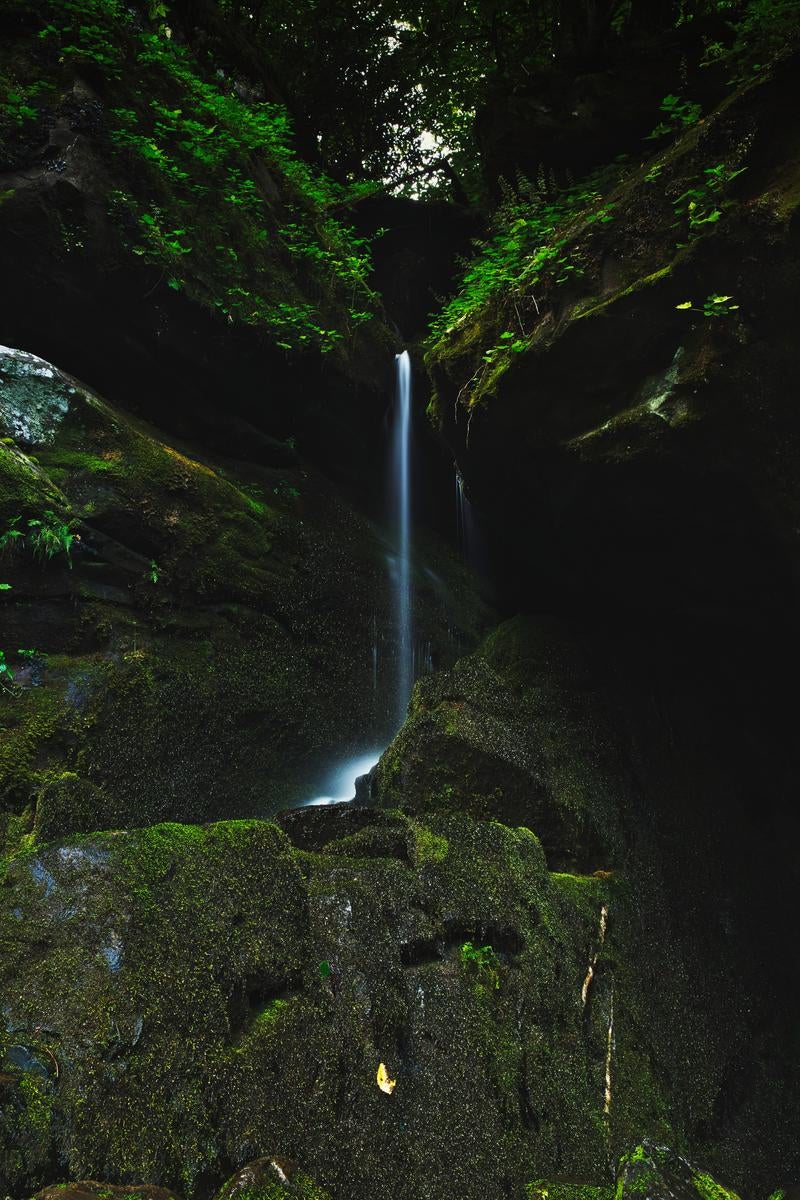 「岩の隙間から流れ落ちる水と新緑」の写真
