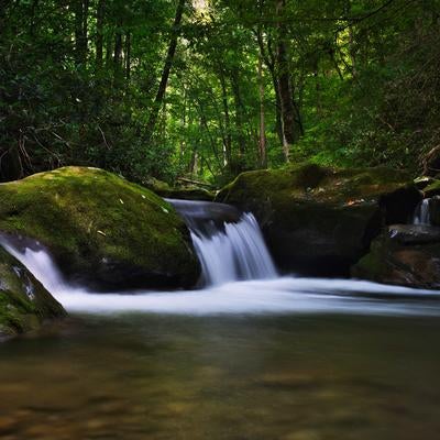 渓流に抱かれた苔生す岩と水の分かれ道の写真