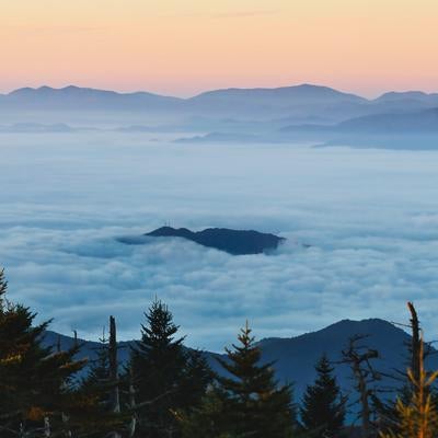 雲海から頭を出す山の写真