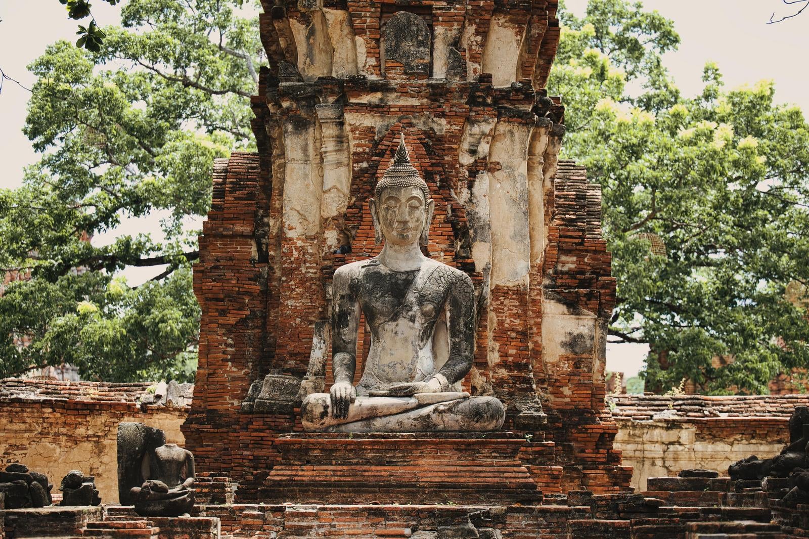 赤レンガの遺跡で結跏趺坐する石造仏像と緑の木々