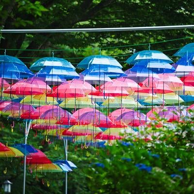 色とりどりの傘が作り出す幻想的な空中回廊の写真