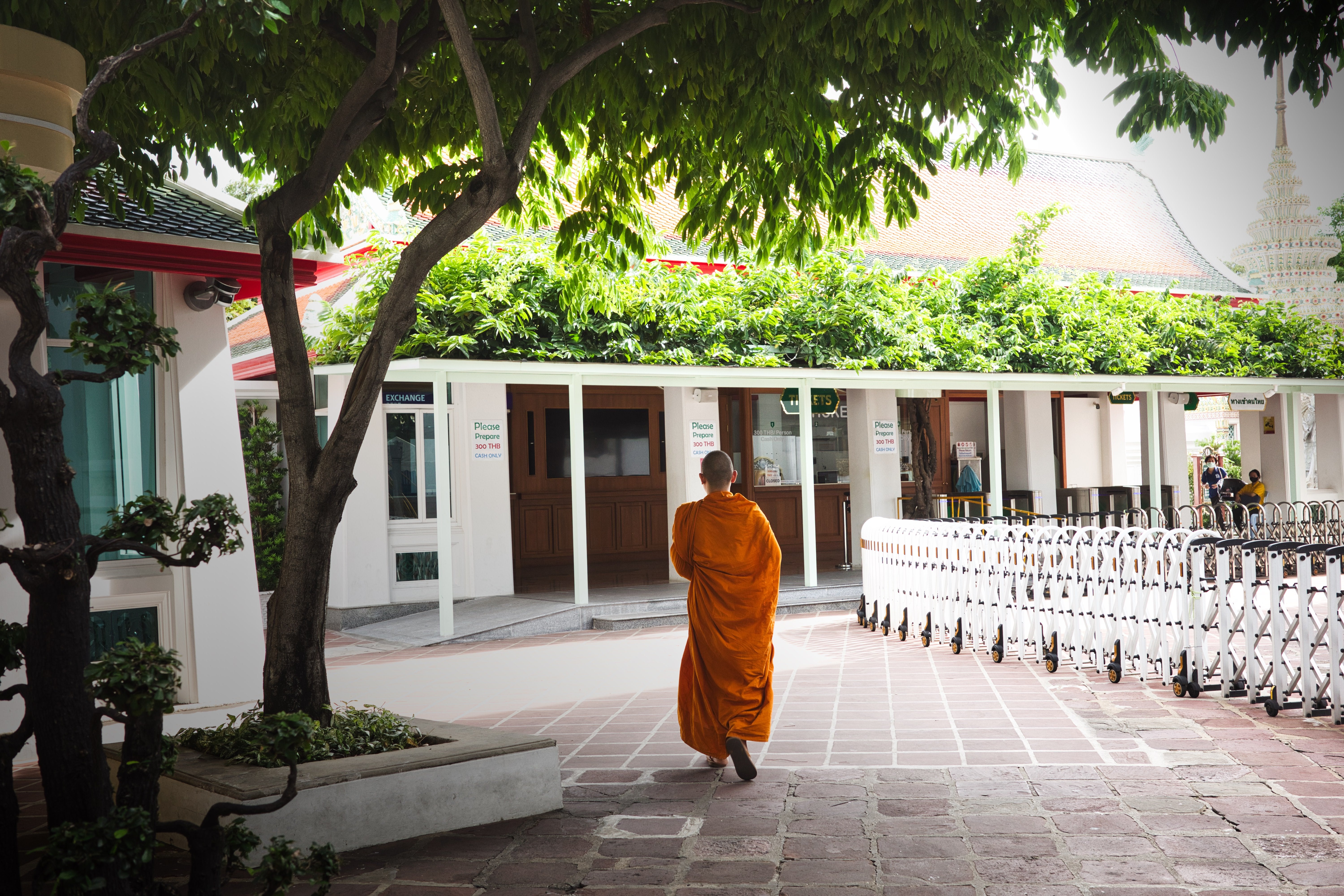 オレンジ色の袈裟を着た僧侶が寺院の中庭を歩く境内風景の写真