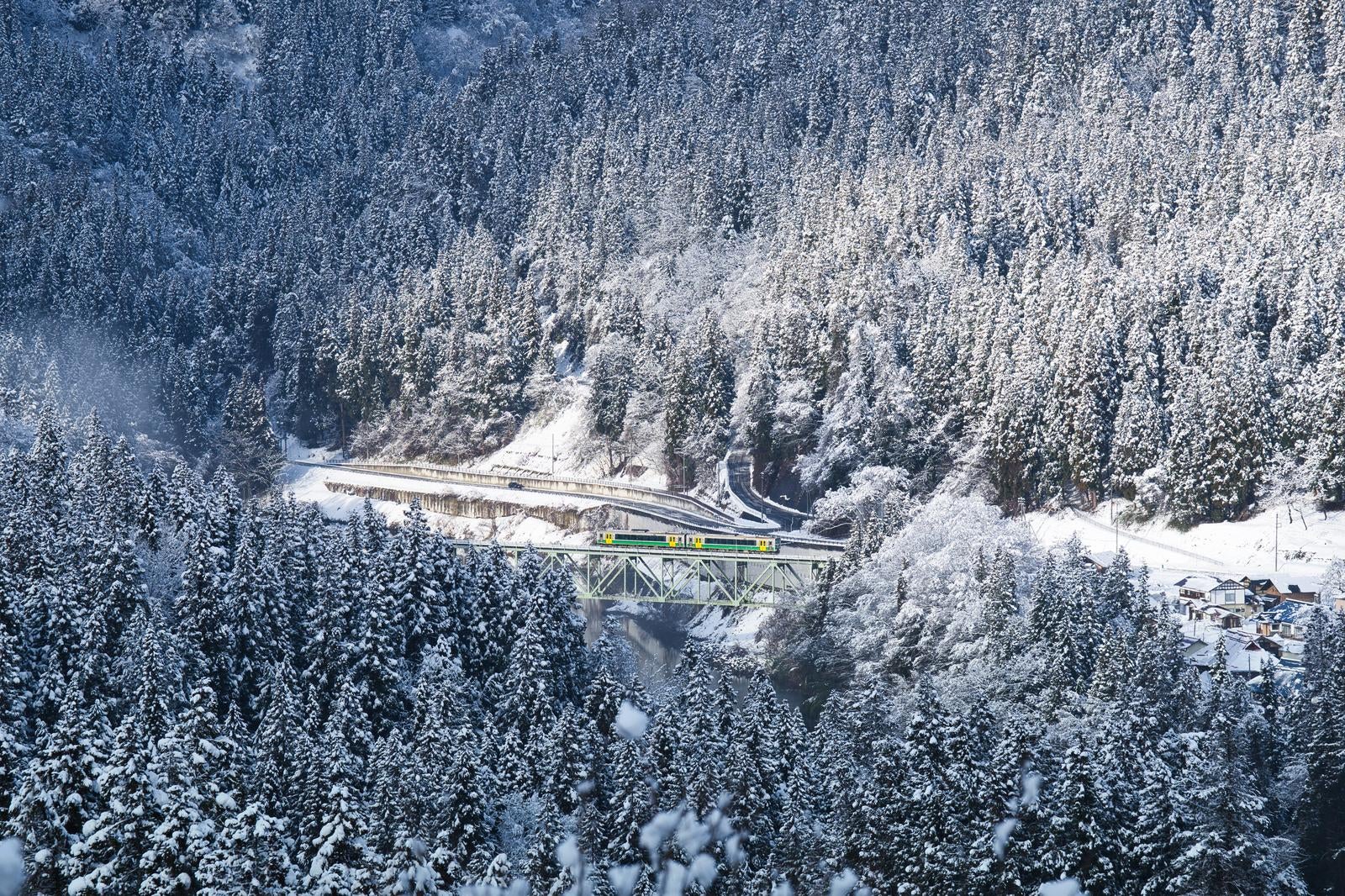雪松に囲まれた只見川橋梁を横切る黄緑色の列車、背景に雪景色の山々