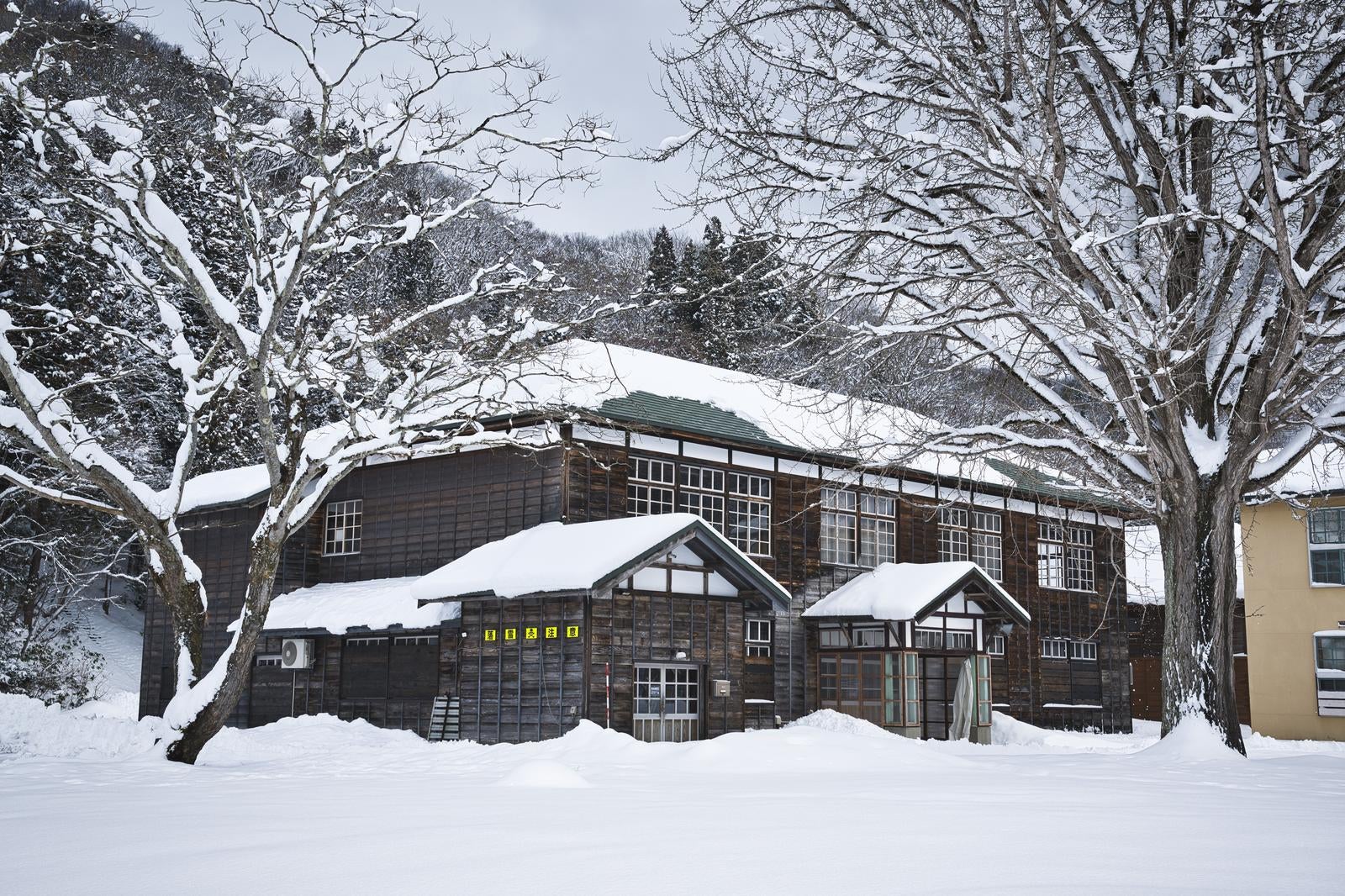 雪に包まれた白樺の樹木の間から見える、傾斜屋根と複数の建物からなる喰丸小学校の校舎
