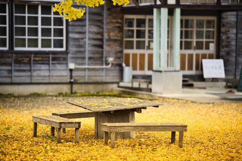 古い木製のテーブルとベンチに黄色いイチョウの葉が積もる秋の庭の写真