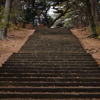 杉林に囲まれた参道の石造階段に積もる落ち葉と苔の写真