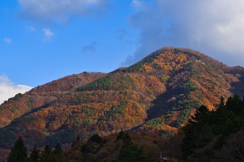 オレンジと緑に色づいた山々が連なる秋の里山風景