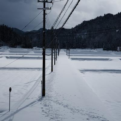雪に覆われた田んぼ道に立ち並ぶ電柱と冬景色の写真