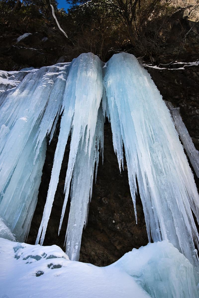 雪の中で青く光る複数の氷柱が垂直に伸びた冬の氷瀑