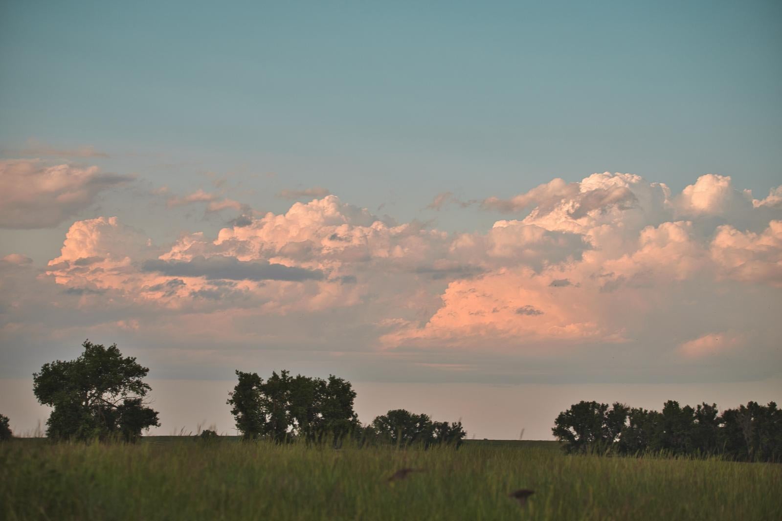 「夕焼け空と色づく雲」の写真