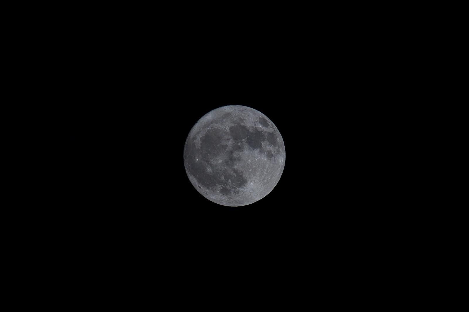 「満月の夜」の写真