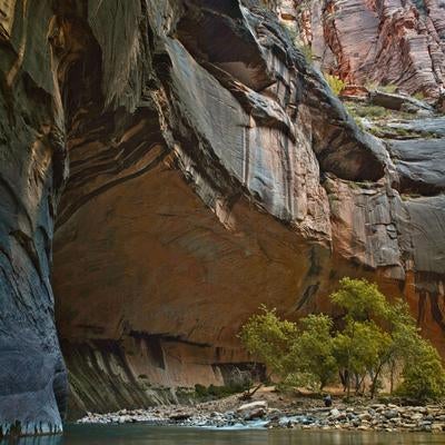 壮大な岩壁がそびえ立つザイオン国立公園の渓谷の写真