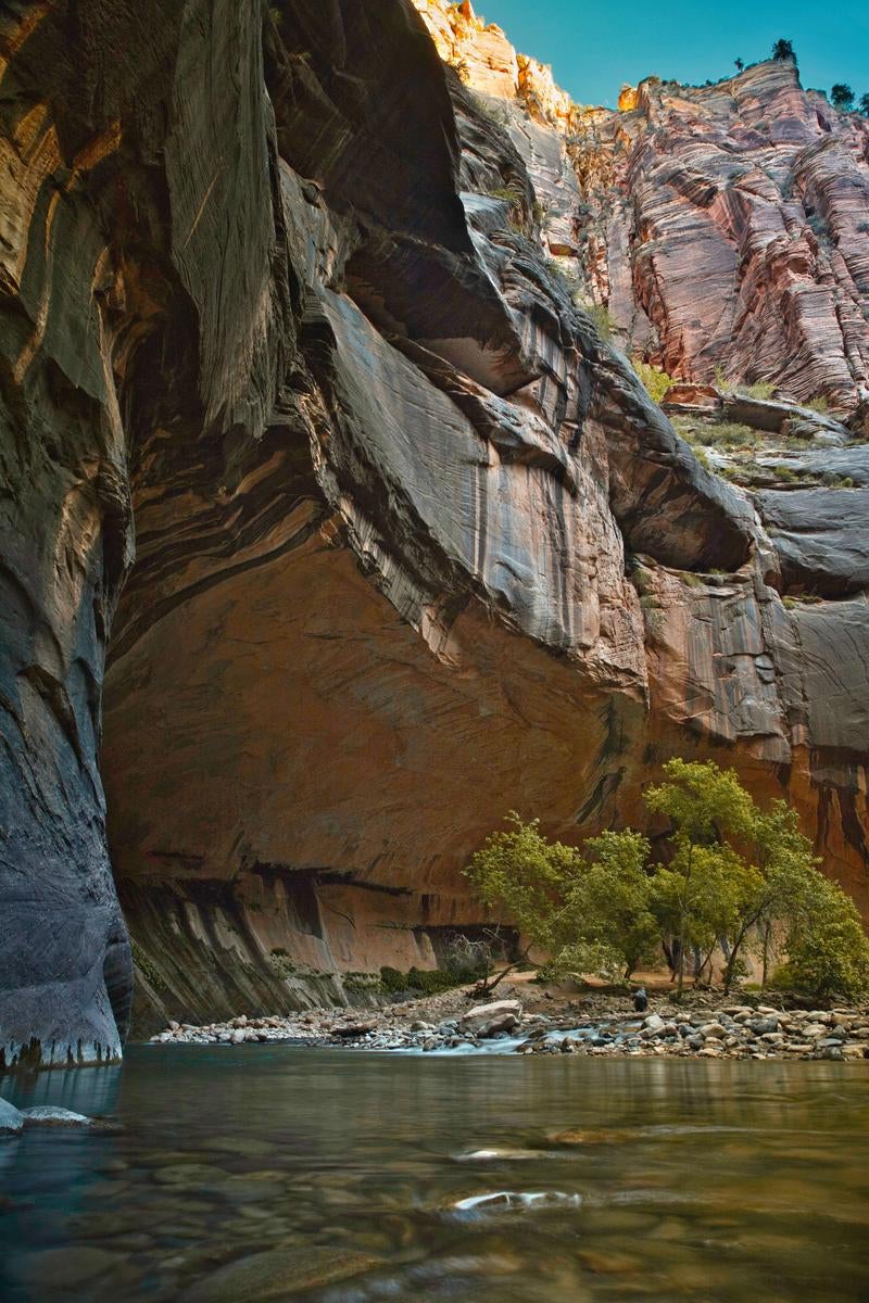 Zion National Park: Canyon with Towering Majestic Rock Walls - free stock photo