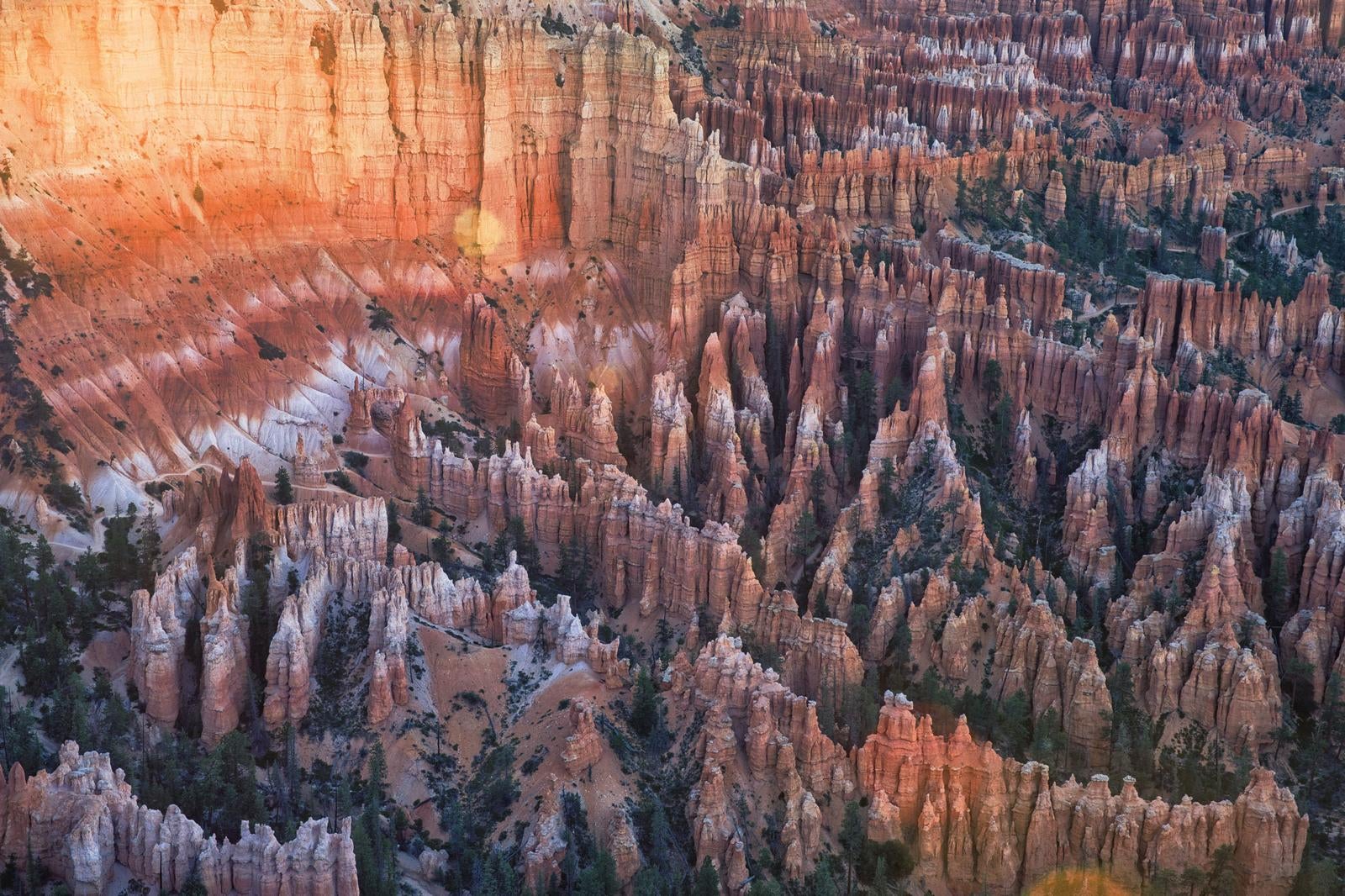 赤い砂岩で形成されたブライスキャニオン国立公園の峡谷全景