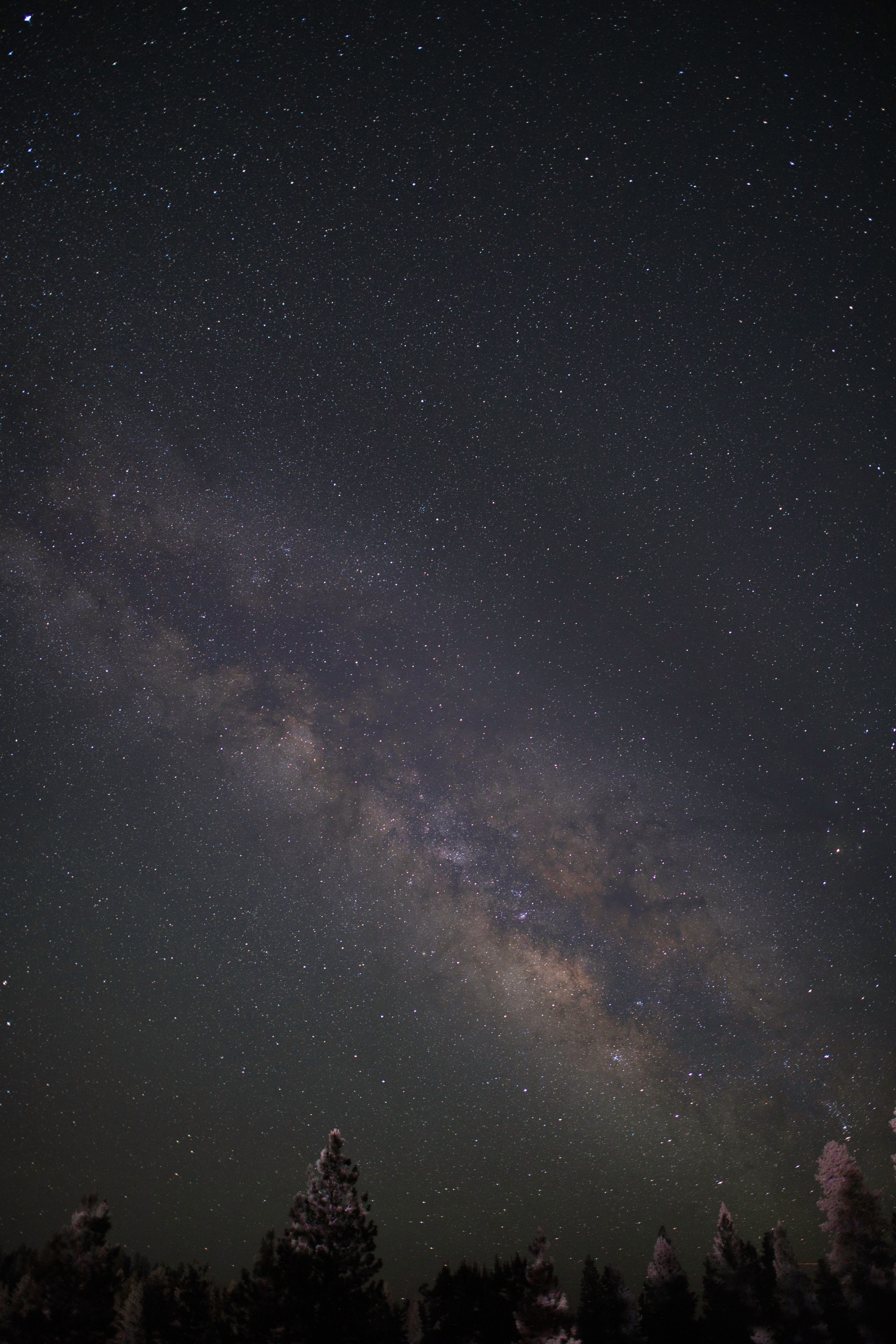 「銀河と満天の星空」の写真