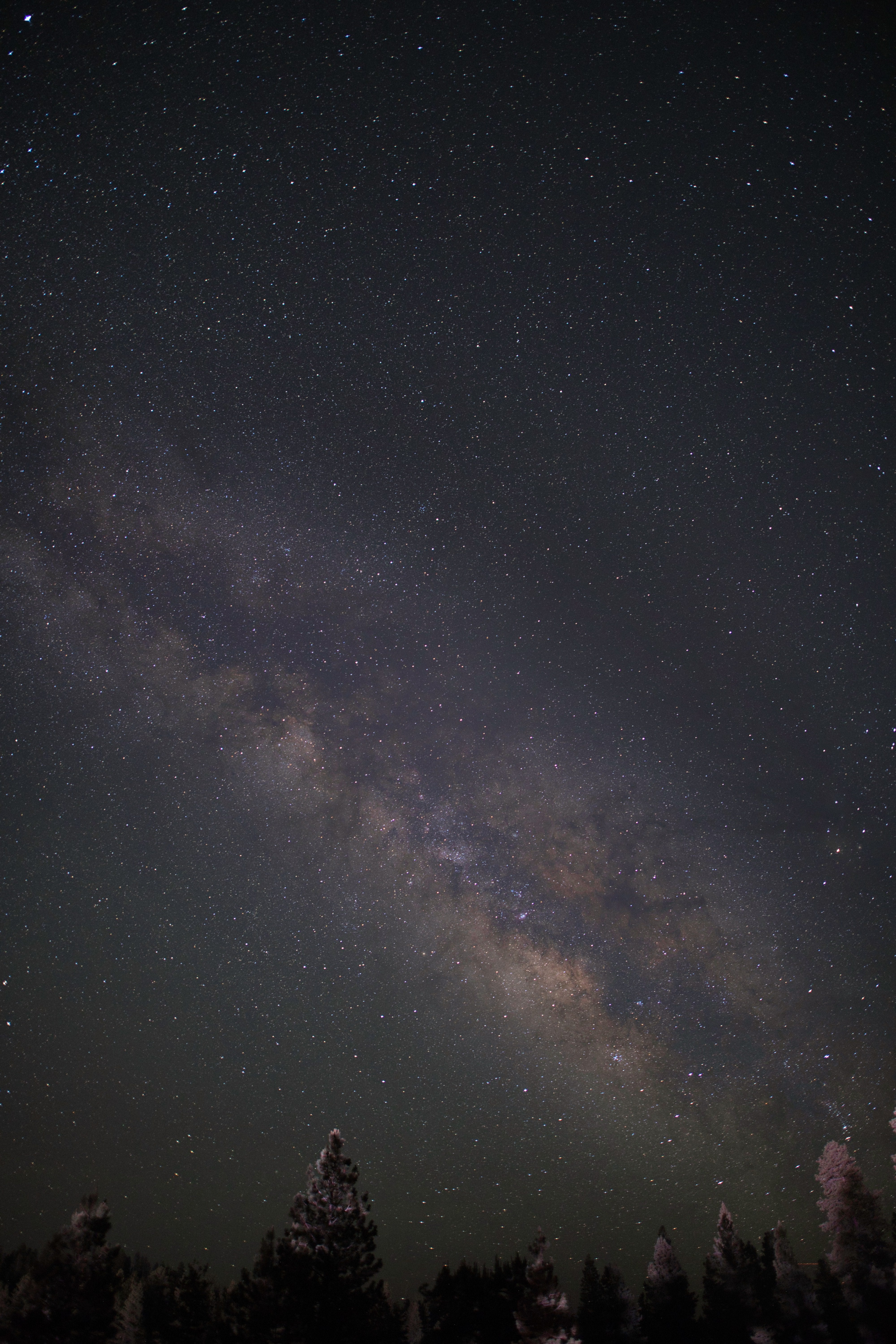 銀河と満天の星空の写真
