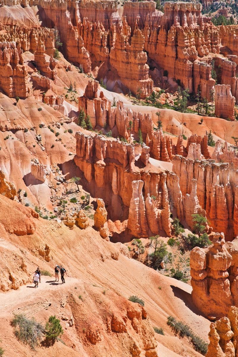 ブライスキャニオン国立公園の赤い峡谷を歩くハイカーたちの冒険