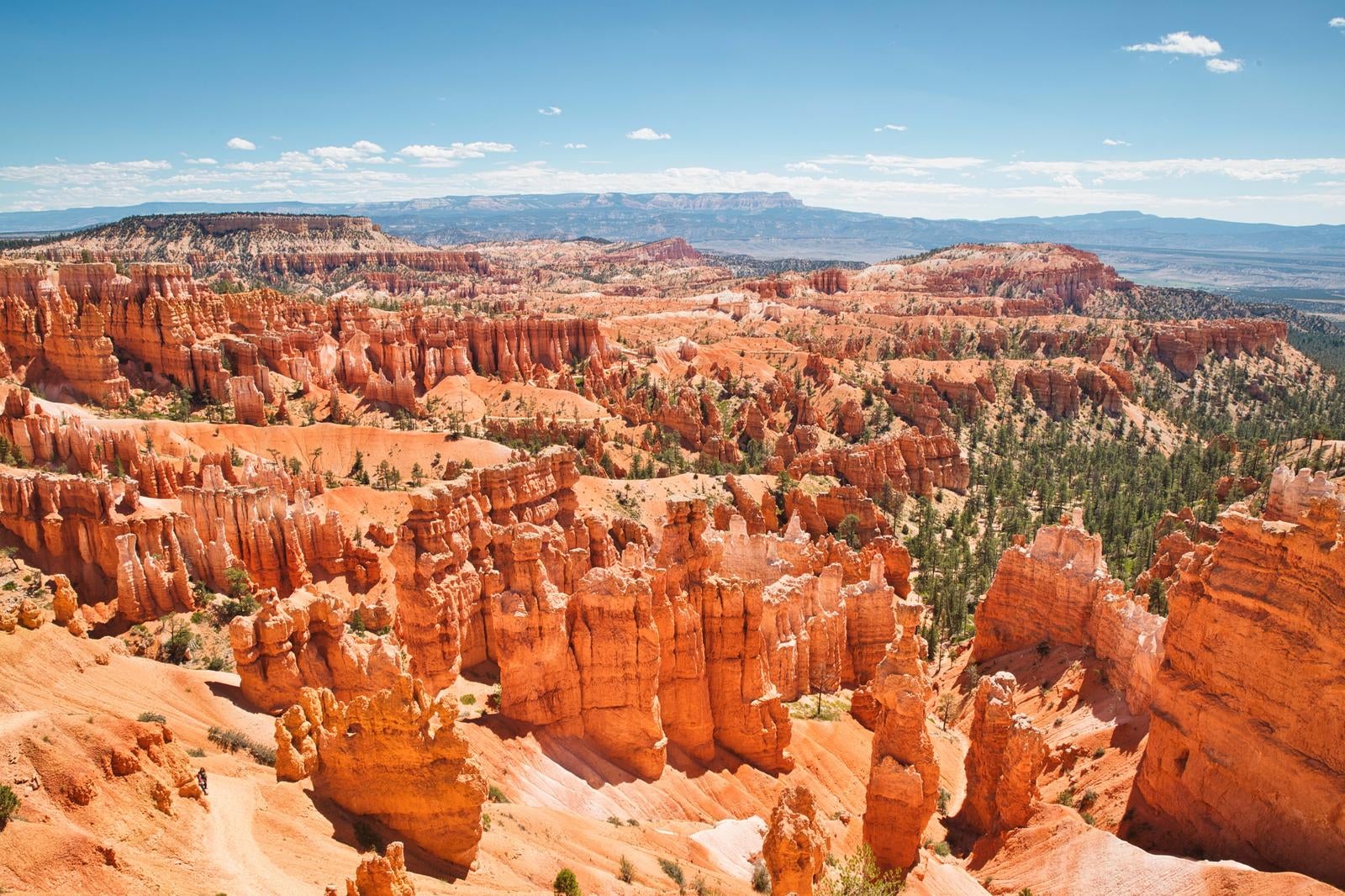 赤い砂岩が垂直に削られたブライスキャニオンの峡谷風景