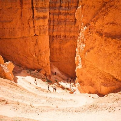 ブライスキャニオンの赤い岩壁に挟まれたウォールストリートへと続く道の写真