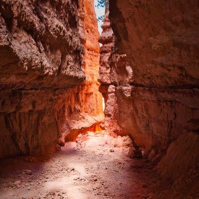 ブライスキャニオン国立公園のウォールストリート、赤い岩肌が迫る狭い通路の写真