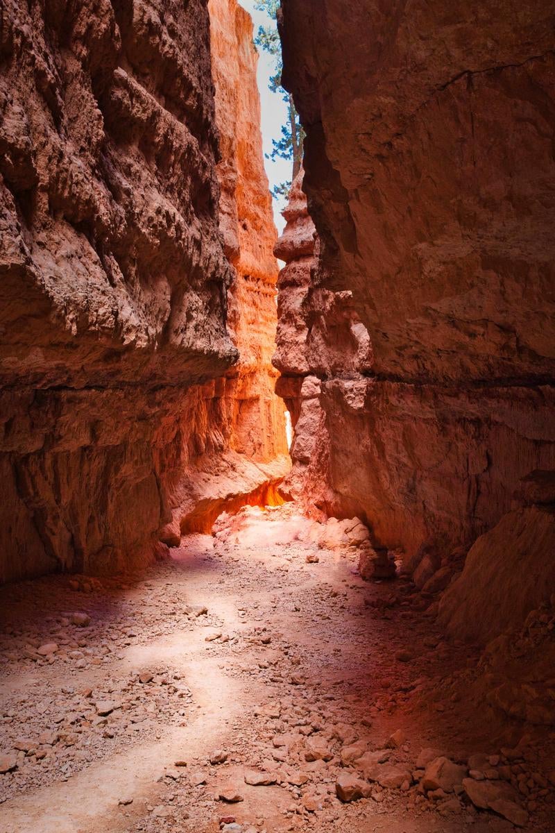 ブライスキャニオン国立公園のウォールストリート、赤い岩肌が迫る狭い通路