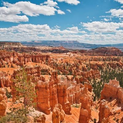 赤茶色の岩柱が連なる壮大なブライスキャニオンの絶景の写真