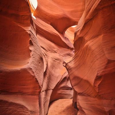 赤茶色の砂岩が波打つアンテロープキャニオンの通路の写真