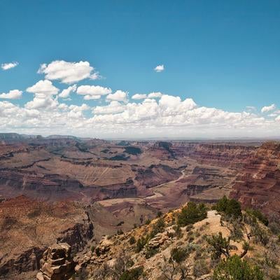 青空と白い積雲に映えるグランドキャニオンの雄大な峡谷景観の写真