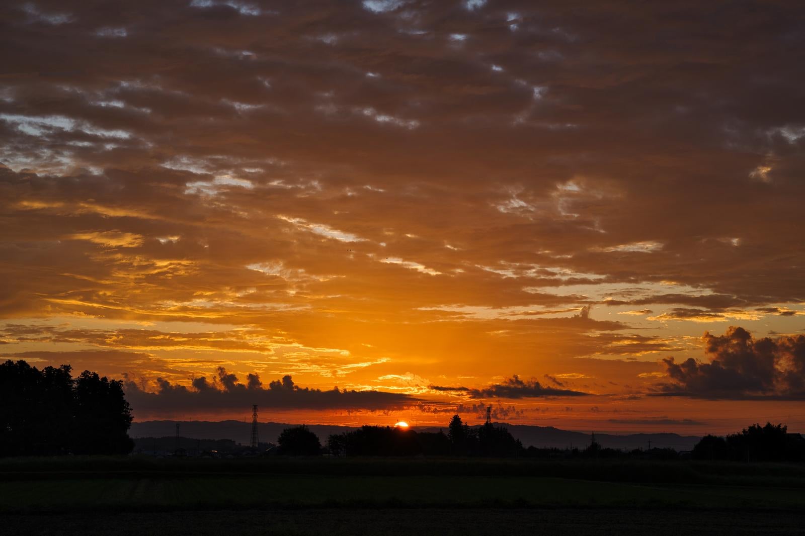 「地平線から昇り始める朝日」の写真