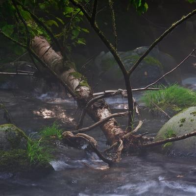 森の水辺と倒れた木の素材