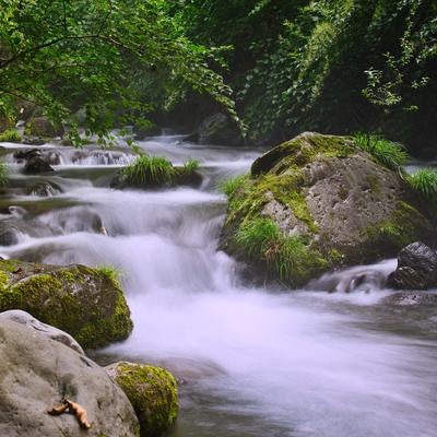 なめらかに流れる緑に包まれた癒やしの川辺の素材