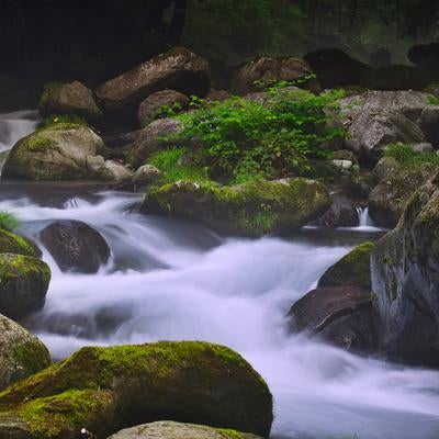 勢いよく流れる清流と苔むした岩々の素材
