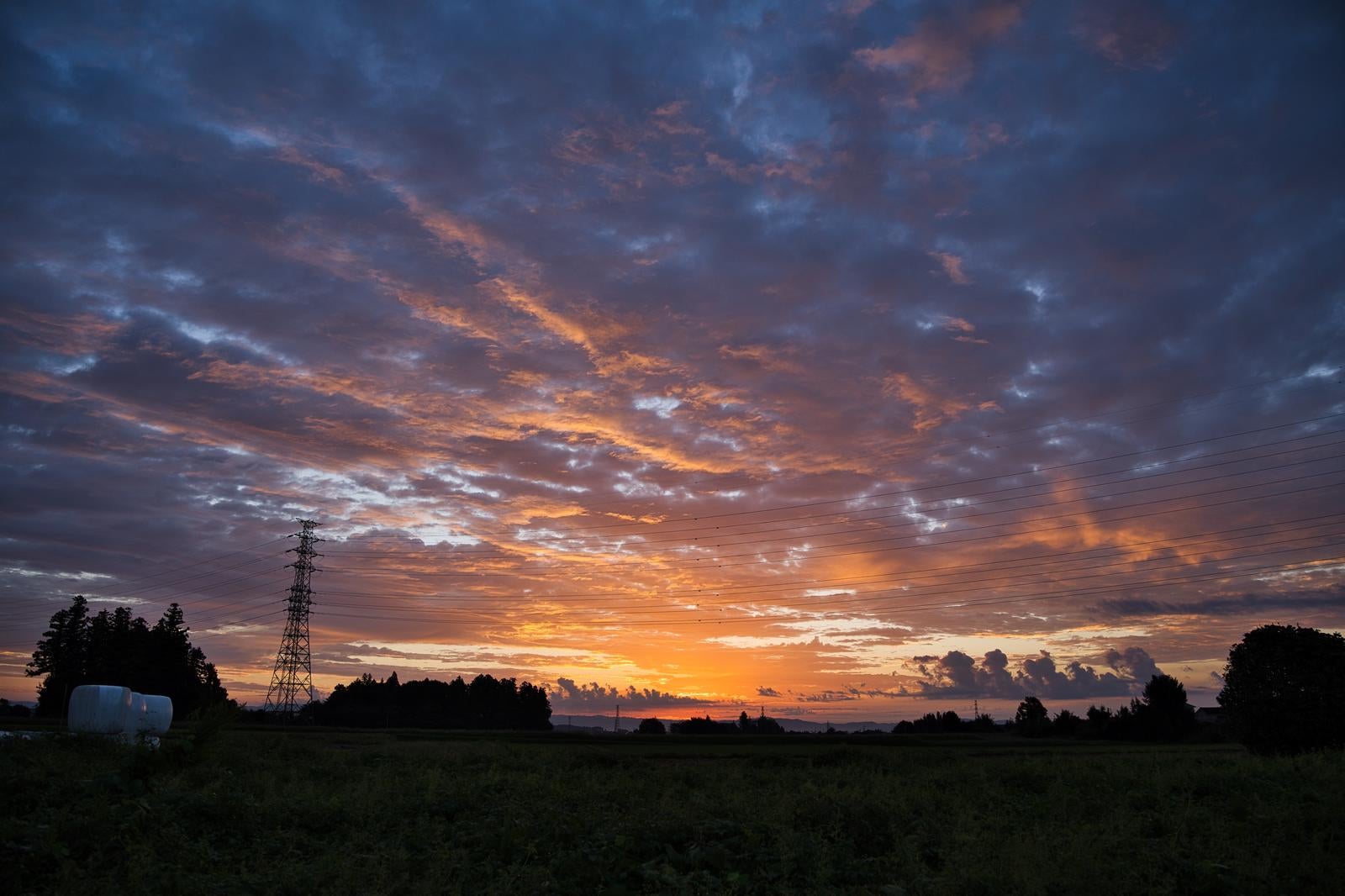 「畑越しに広がる朝焼けと鉄塔」の写真