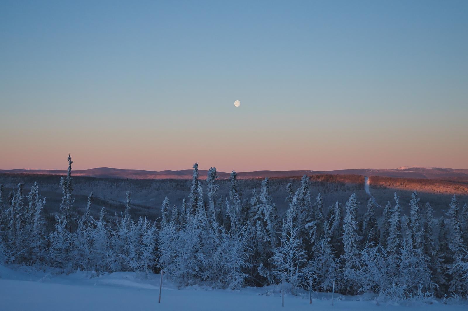 「冬の静寂と満月の輝き」の写真