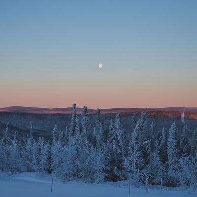 冬の静寂と満月の輝きの写真