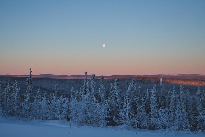冬の静寂と満月の輝きの写真