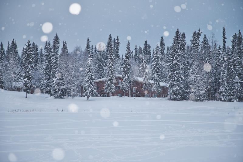 雪に覆われた森の中の木造の家の写真